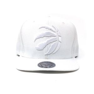 Mitchell and Ness Toronto Raptors Partial Logo White Snapback Hat
